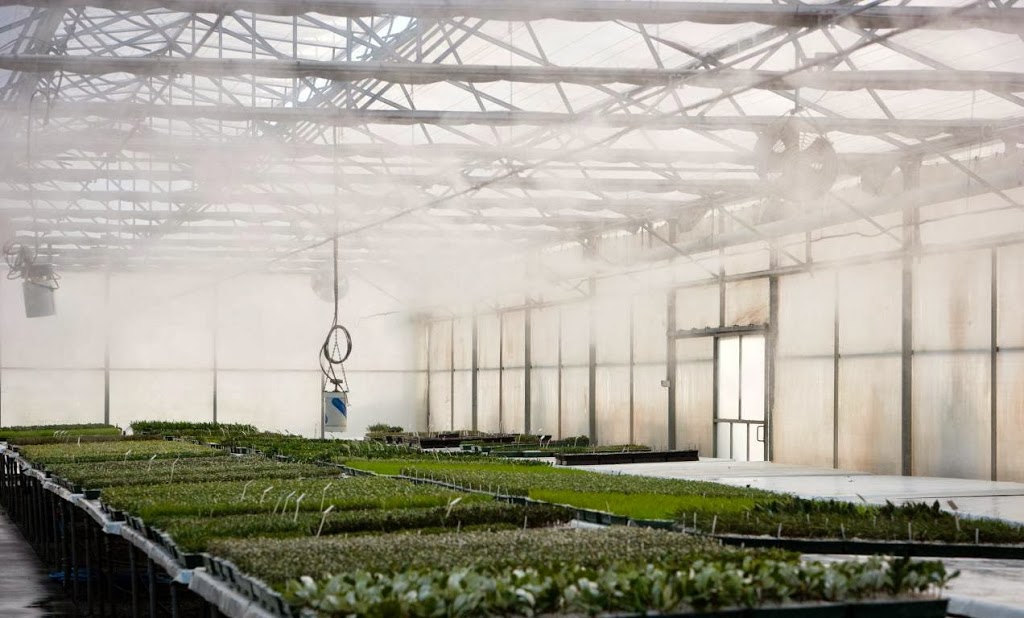 Mansfield Propagation Nursery | 150 Taylors Rd, Skye VIC 3977, Australia | Phone: (03) 9782 2404