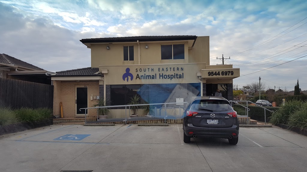 South Eastern Animal Hospital | veterinary care | 1357 Centre Rd, Clayton VIC 3168, Australia | 0395446979 OR +61 3 9544 6979
