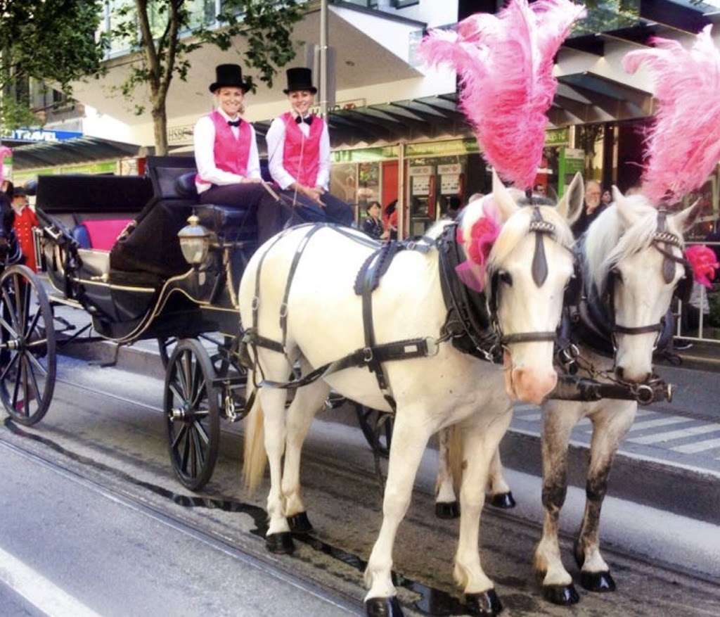 Unique Carriage Hire | travel agency | 45 Corcoran Rd, Bunyip VIC 3815, Australia | 0414752835 OR +61 414 752 835