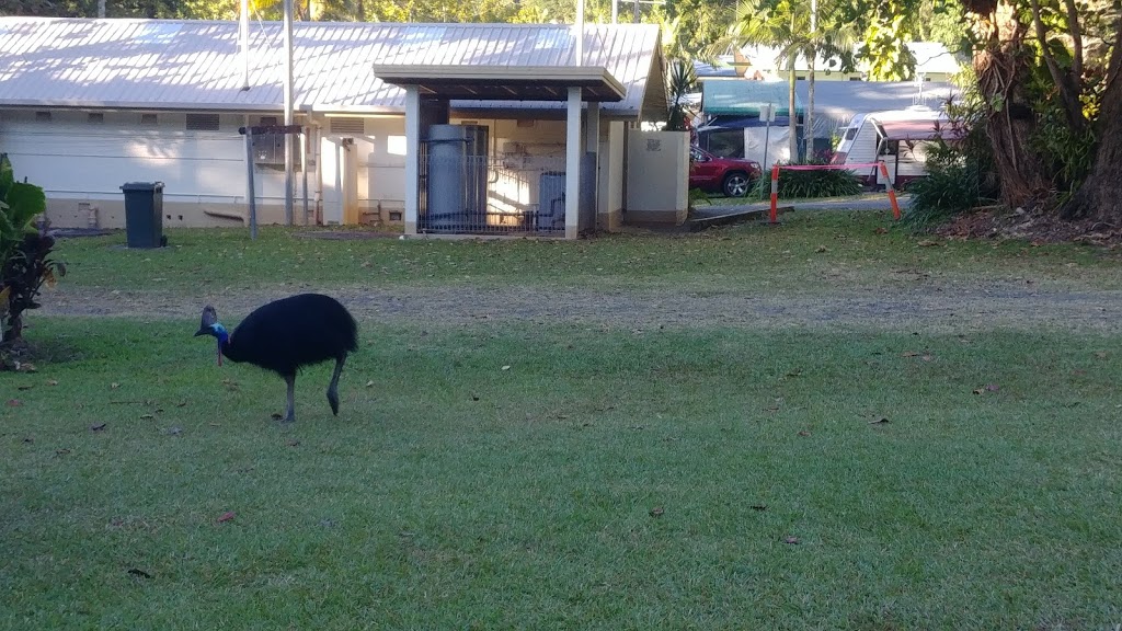 Etty Bay Caravan Park & Kiosk | Esplanade, Etty Bay QLD 4858, Australia | Phone: (07) 4063 2314