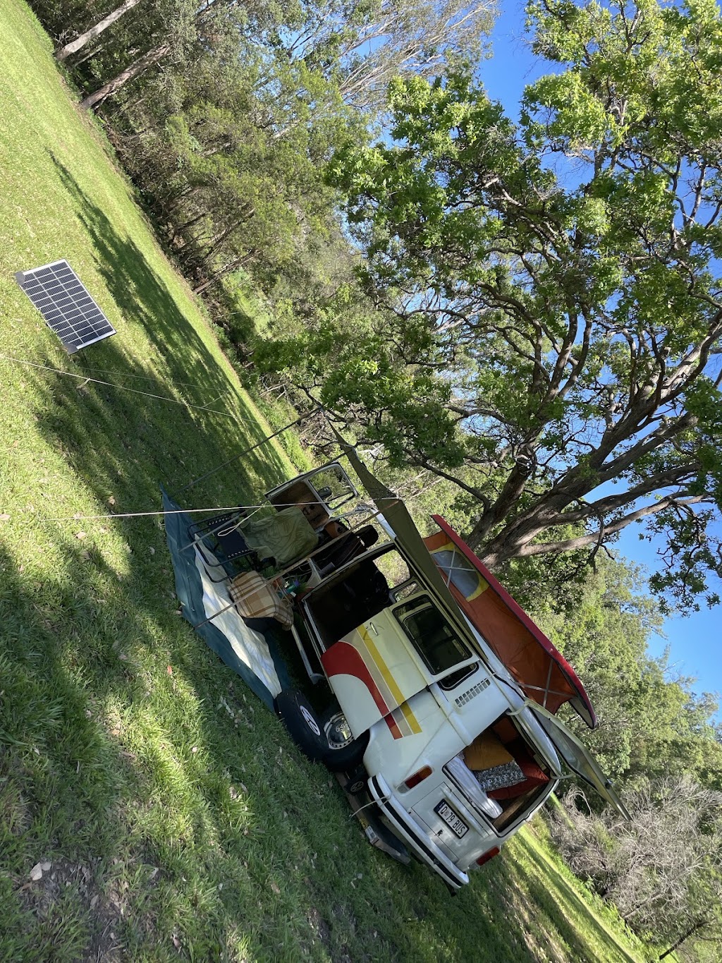 GingerNut Farm | 109 Atkins Rd, Cawongla NSW 2474, Australia | Phone: 0435 007 555