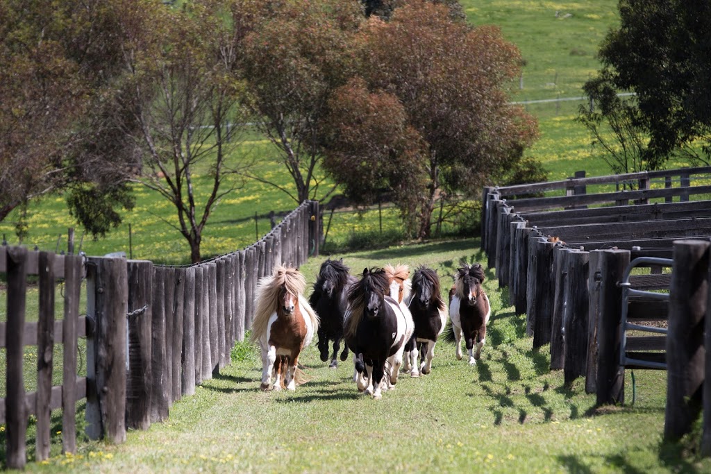 Rangeview Park Agistment | 465 Deep Creek Rd, Arthurs Creek VIC 3099, Australia | Phone: 0418 326 620