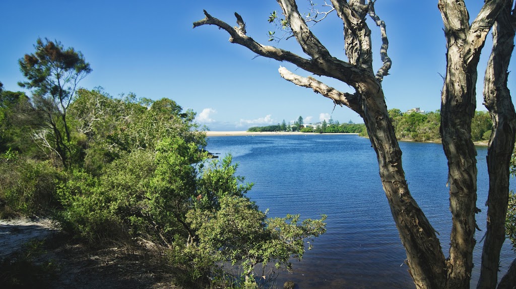 Currimundi Lake (Kathleen McArthur) Conservation Park | park | Wurtulla QLD 4575, Australia