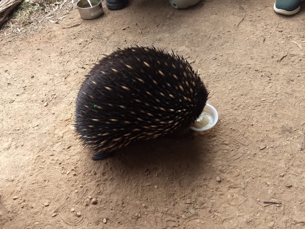 Sanctuary Harvest Cafe | Badger Creek VIC 3777, Australia