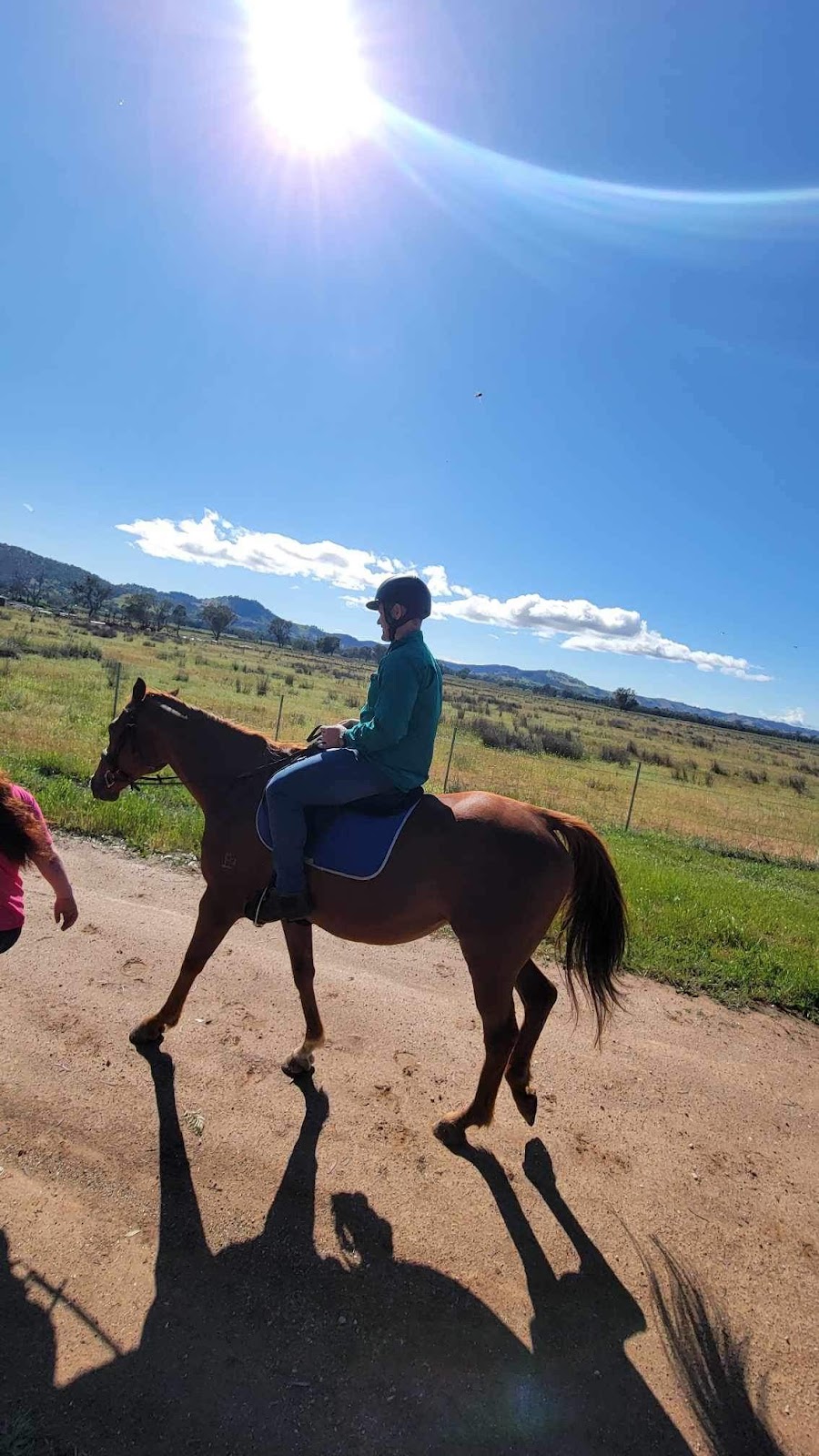 JW Equestrian | 109 Ryans Access Rd, Barnawartha VIC 3688, Australia | Phone: 0418 145 159