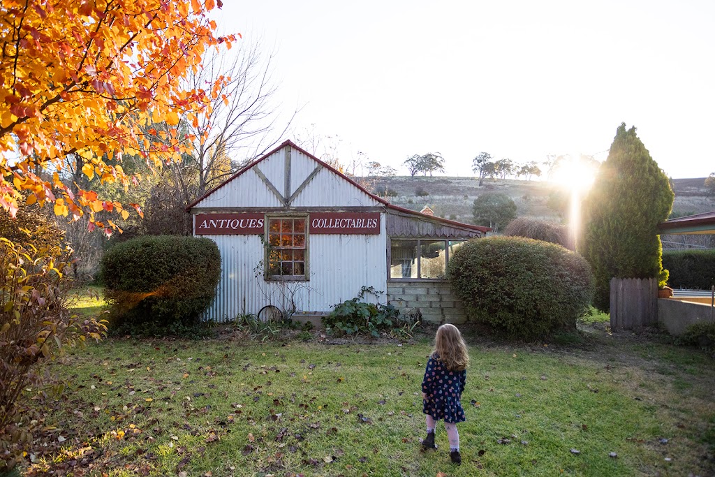 Saltash Farm | 12 Naylor St, Carcoar NSW 2791, Australia | Phone: 0402 468 048