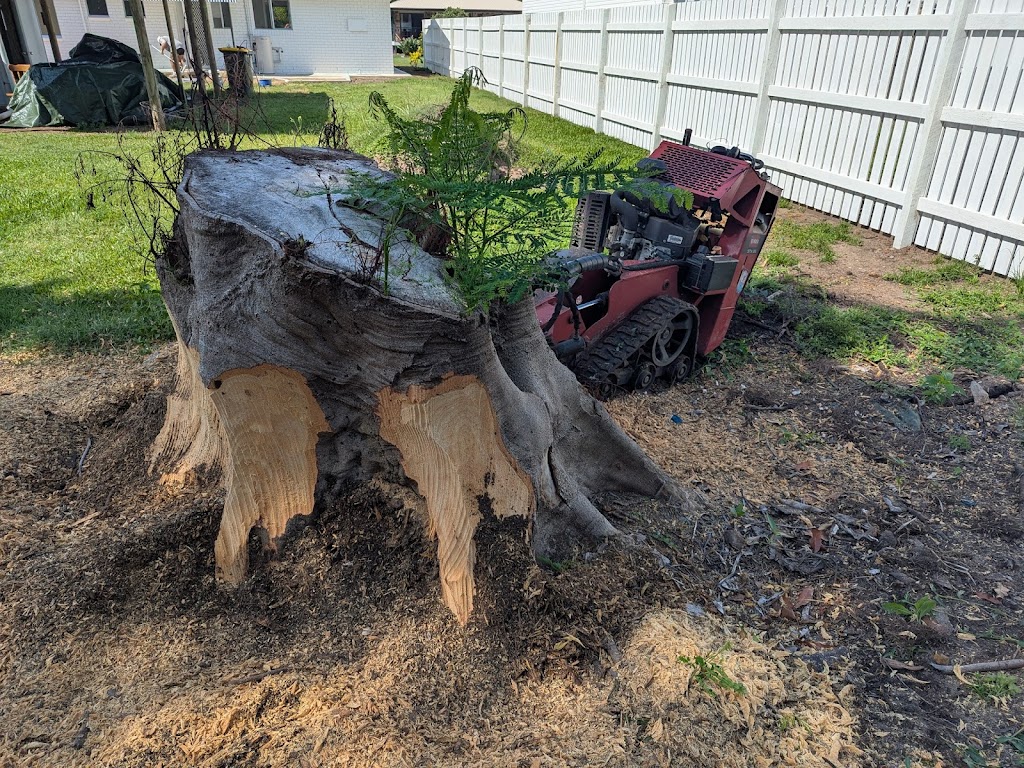 Stump Grinding by Nodez | 19 Edgar St, Bulahdelah NSW 2423, Australia | Phone: 0417 761 492