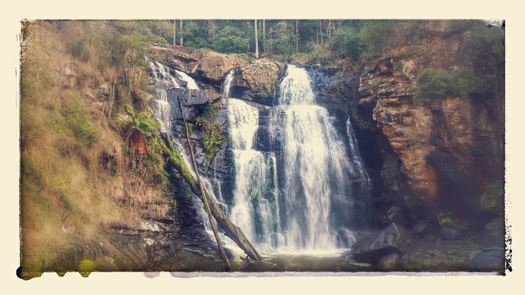 Henderson Falls | Henderson Track, Lorne VIC 3232, Australia | Phone: 13 19 63