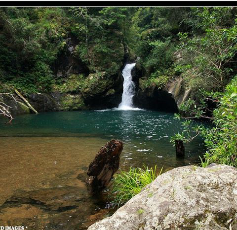 Potoroo Falls Picnic Area | Potoroo Forest Rd, Dingo Forest NSW 2429, Australia | Phone: (02) 6588 5555