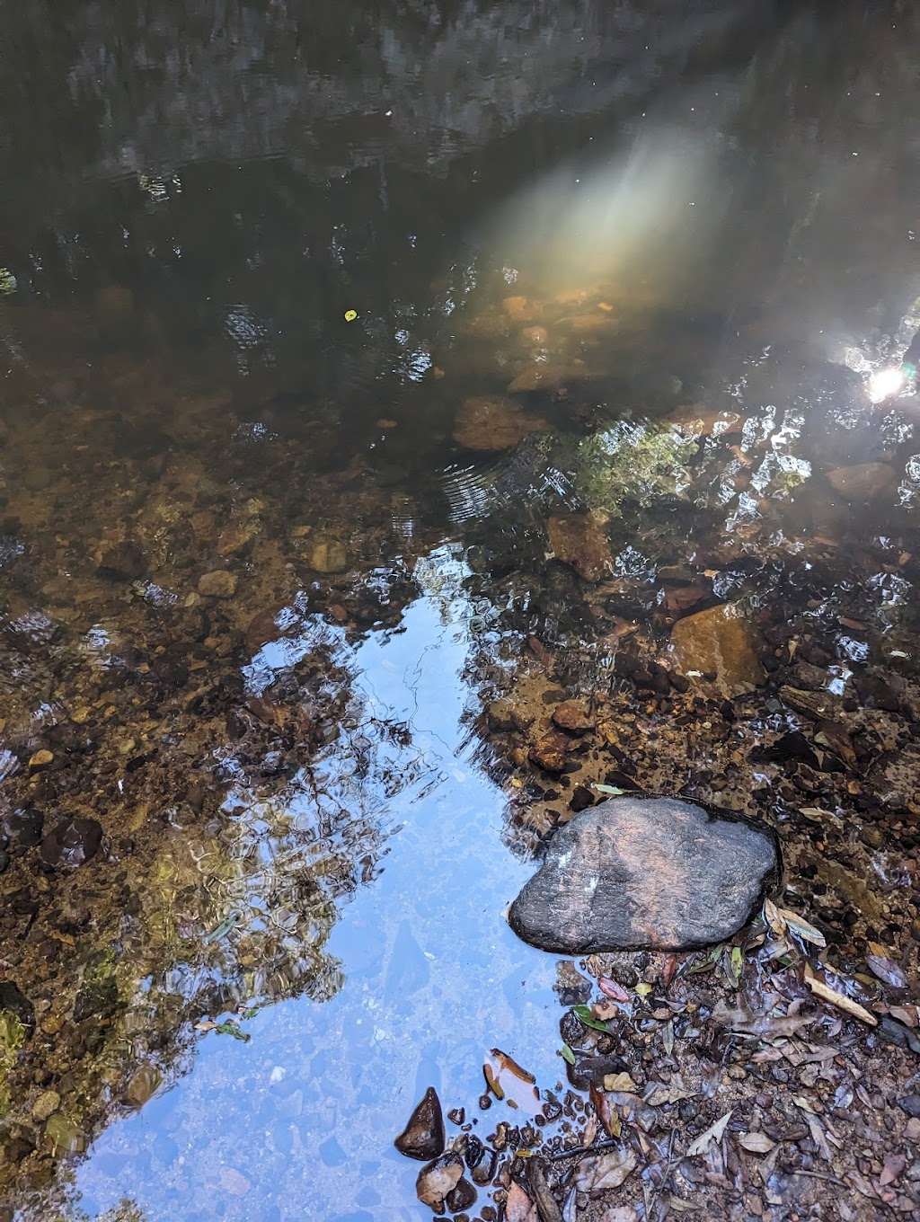 Retreat On Deakin | 808 Deakin Ave, Mildura VIC 3500, Australia | Phone: 0437 101 756