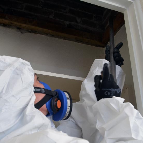 D & J Kelly Building Co - Asbestos Removal Wollongong |  | 7 Lake Parade, East Corrimal NSW 2518, Australia | 0414733357 OR +61 414 733 357