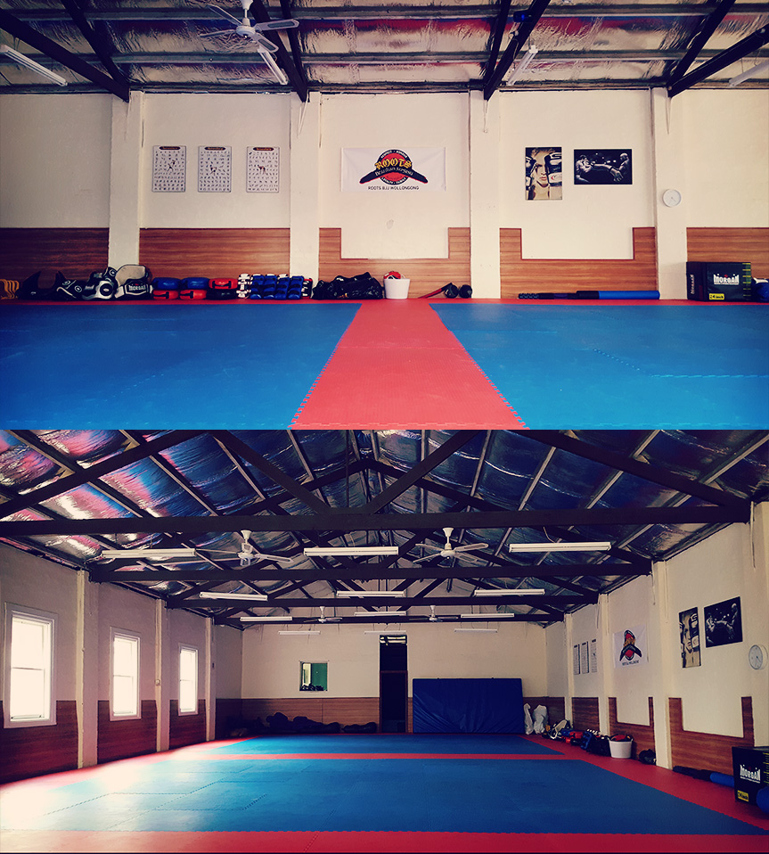 Southern MMA | gym | 355 Princes Hwy, Woonona NSW 2517, Australia | 0402712179 OR +61 402 712 179