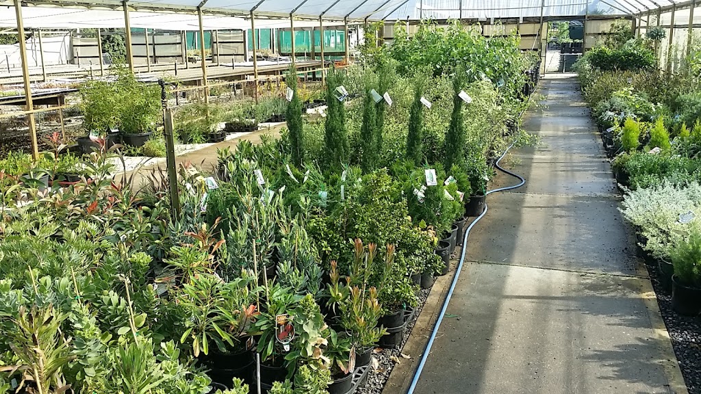 Plantinspirations Online Nursery Plants | 2c Holts Ln, Darley VIC 3340, Australia | Phone: 0439 403 560