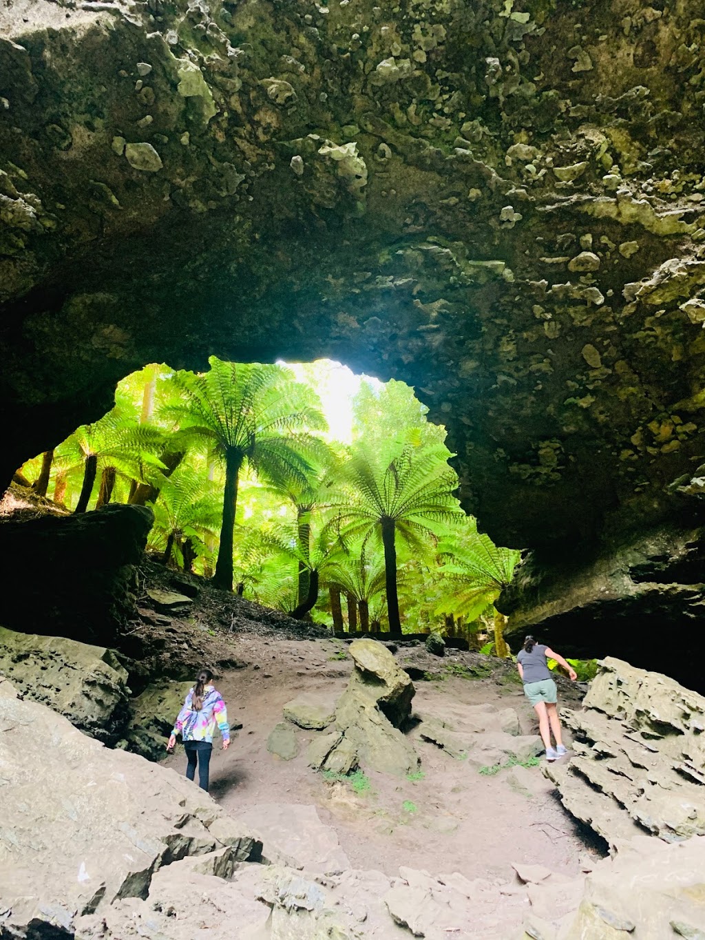 Trowutta Caves State Reserve | Trowutta TAS 7330, Australia