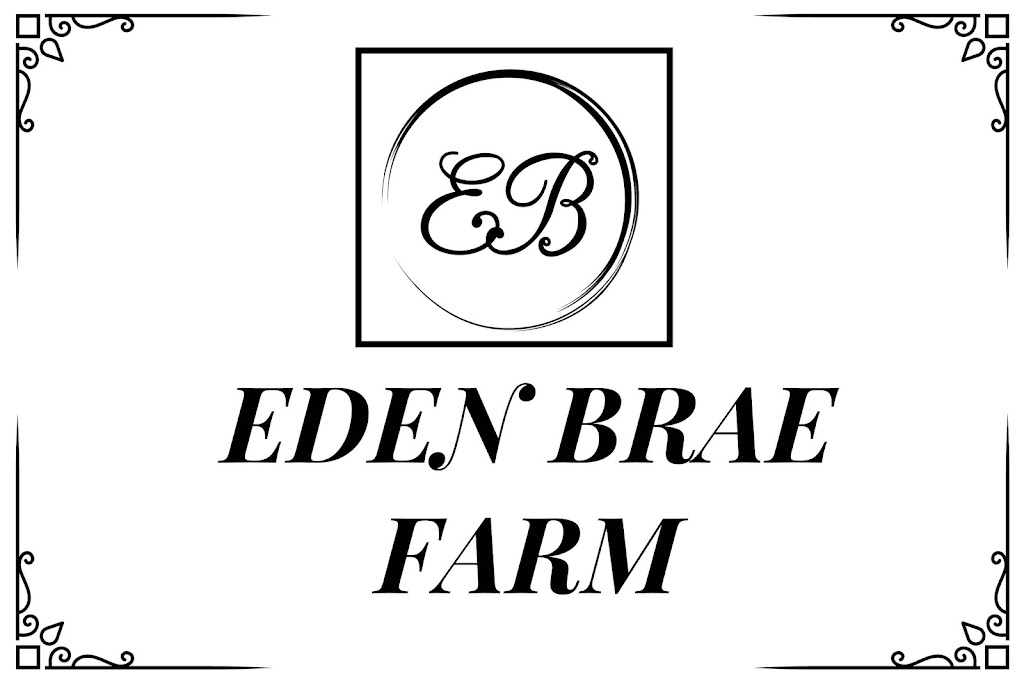 Eden Brae Farm | 1532 Rollands Plains Rd, Rollands Plains NSW 2441, Australia | Phone: 0407 067 938