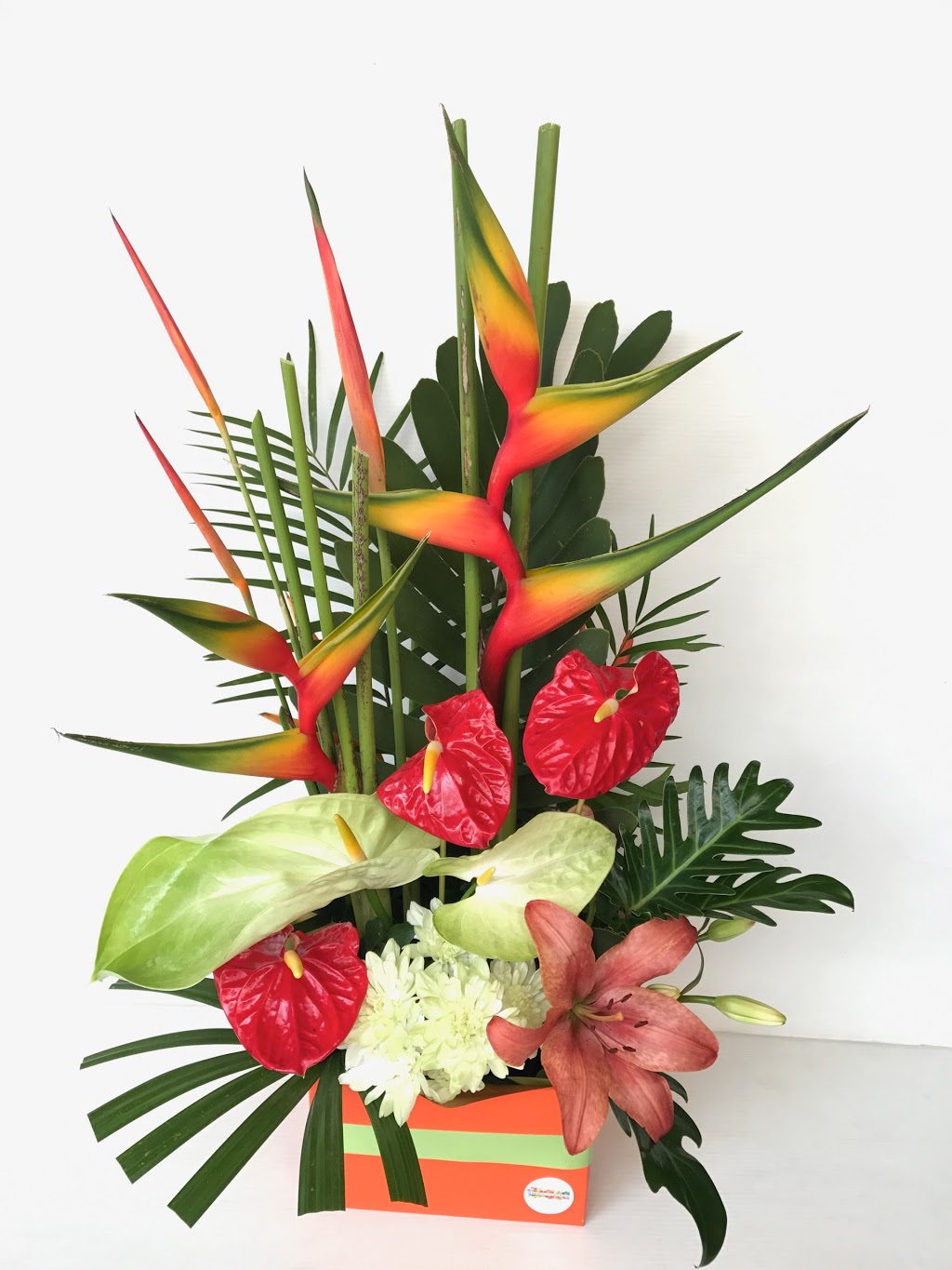 Berrimah Flower Bar | 35 Lagoon Rd, Berrimah NT 0828, Australia | Phone: (08) 8984 4006