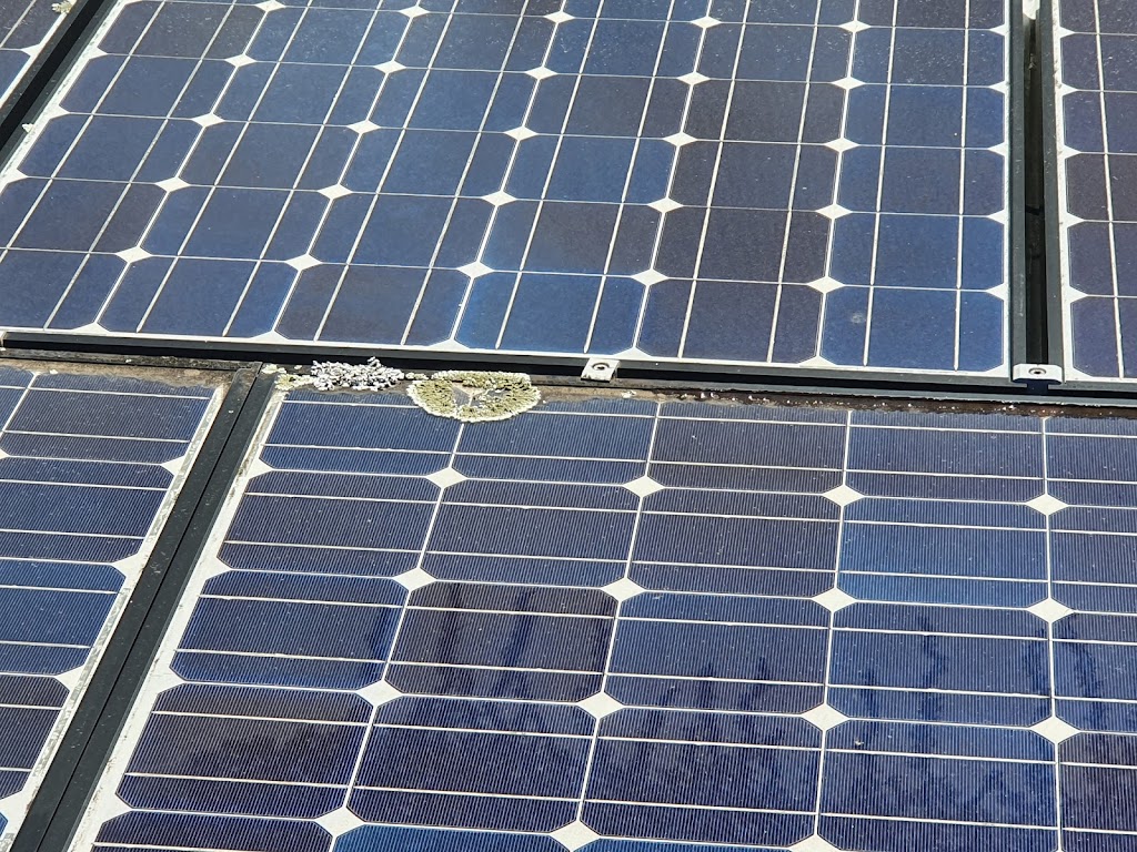 Grafton Solar Panel Cleaning Service | 304 Back Ln, Junction Hill NSW 2460, Australia | Phone: 0428 446 194