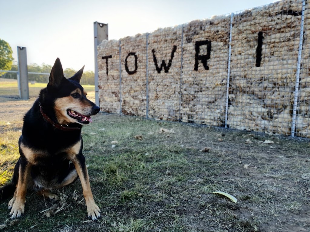 Towri Sheep Cheeses | 206 Saville Rd, Allenview QLD 4285, Australia | Phone: 0403 463 429