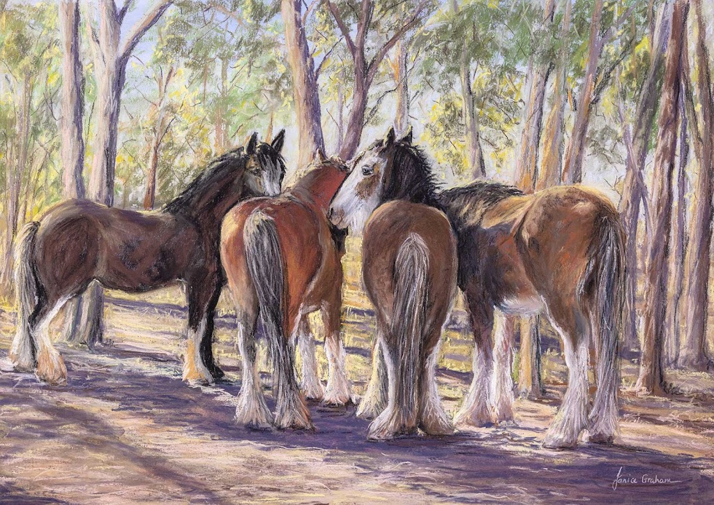 Whistlers Gallery, Janice Graham Visual Artist. | WHISTLER GALLERY, 222 Chiltern-Rutherglen Rd, Chiltern VIC 3683, Australia | Phone: 0429 028 562