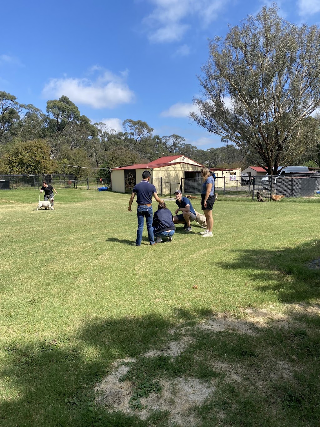 K9 Empire Lodge | 1305 Castlereagh Hwy, Lidsdale NSW 2790, Australia | Phone: 0450 248 402