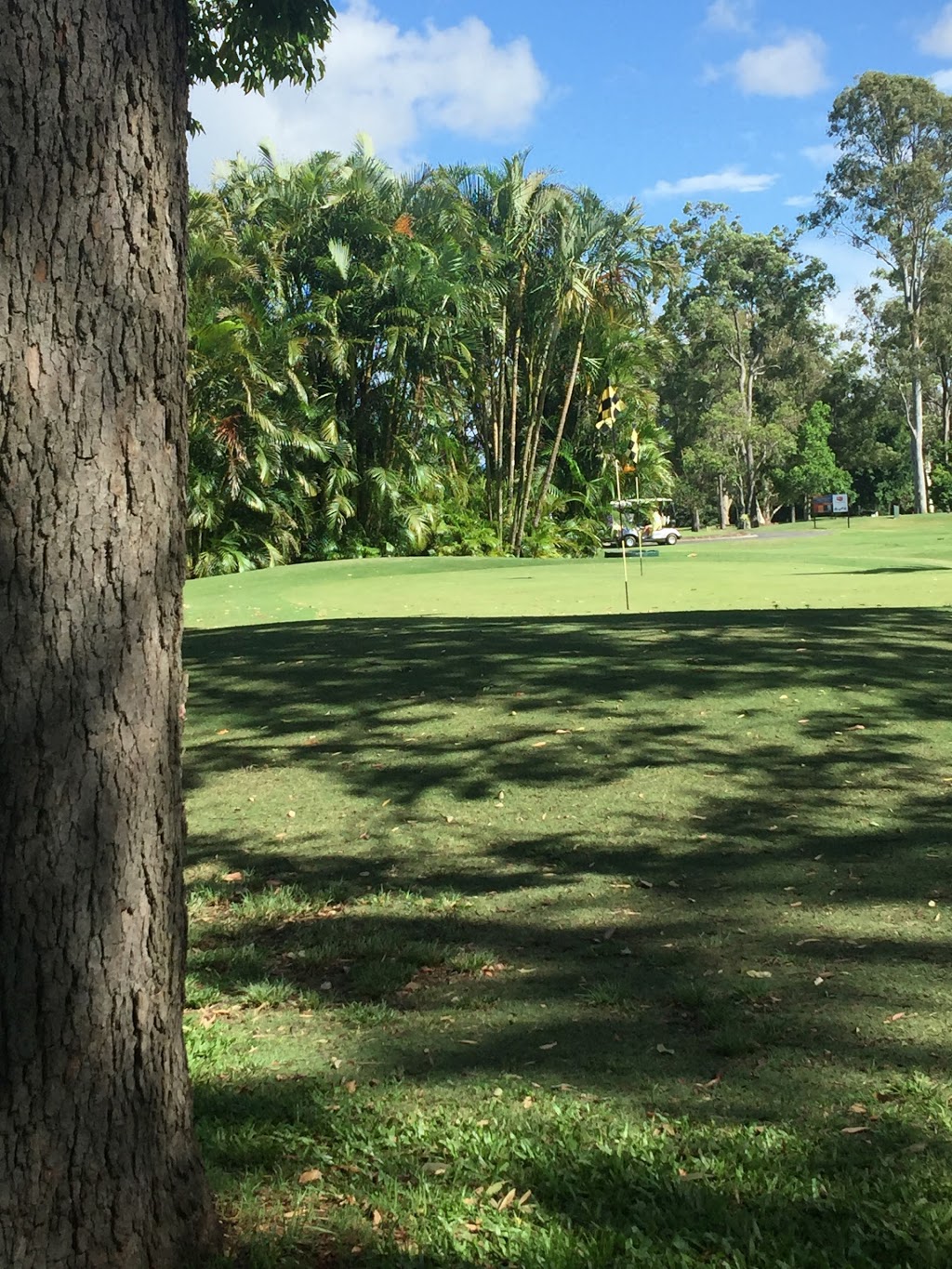 The Golf Shop - Virginia Golf Club | Elliott Rd, Brisbane QLD 4014, Australia | Phone: (07) 3267 6333