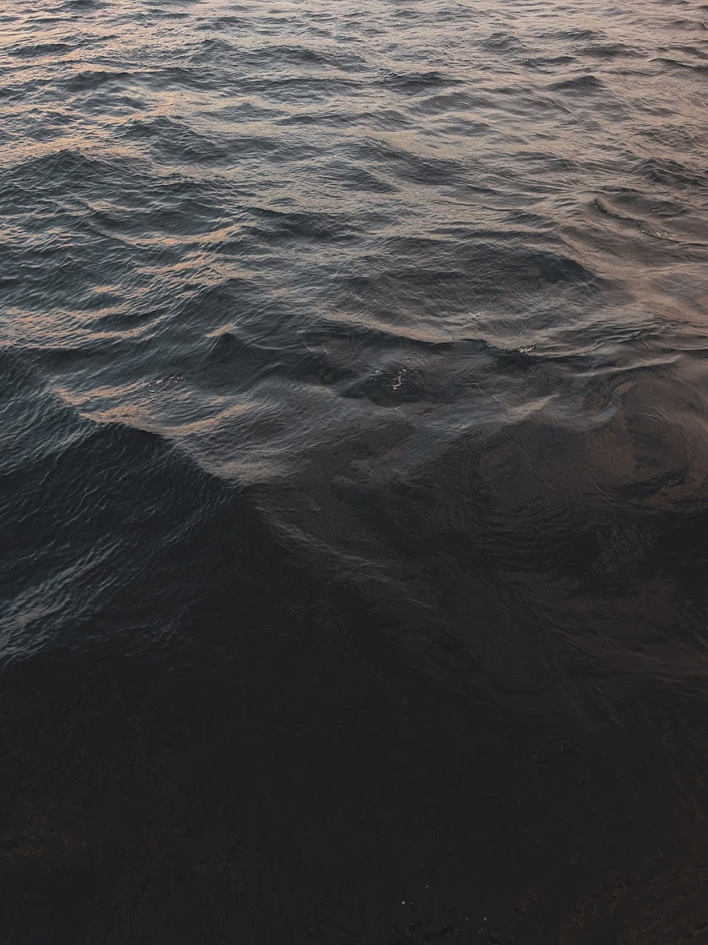 Alluvium Water Cremations | Unit 6/122b Mornington Rd, Mornington TAS 7018, Australia | Phone: (03) 6169 9333