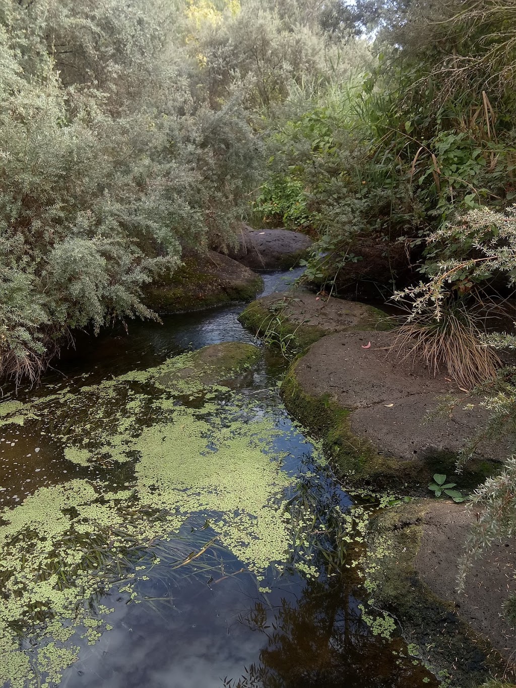 Werribee River access point | Werribee VIC 3030, Australia