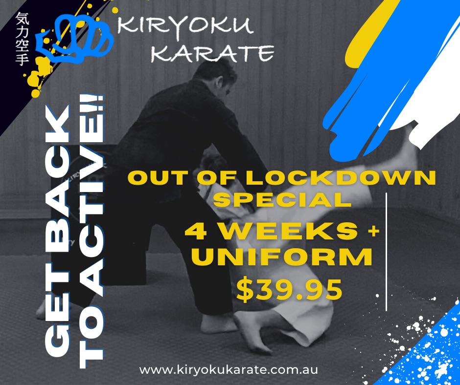 Kiryoku Karate | 30 Handsome Ave, Clyde North VIC 3978, Australia | Phone: 0400 582 081