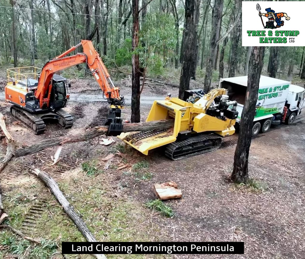 Tree & Stump Eaters | 107 Bungower Rd, Somerville VIC 3912, Australia | Phone: (03) 5978 0181