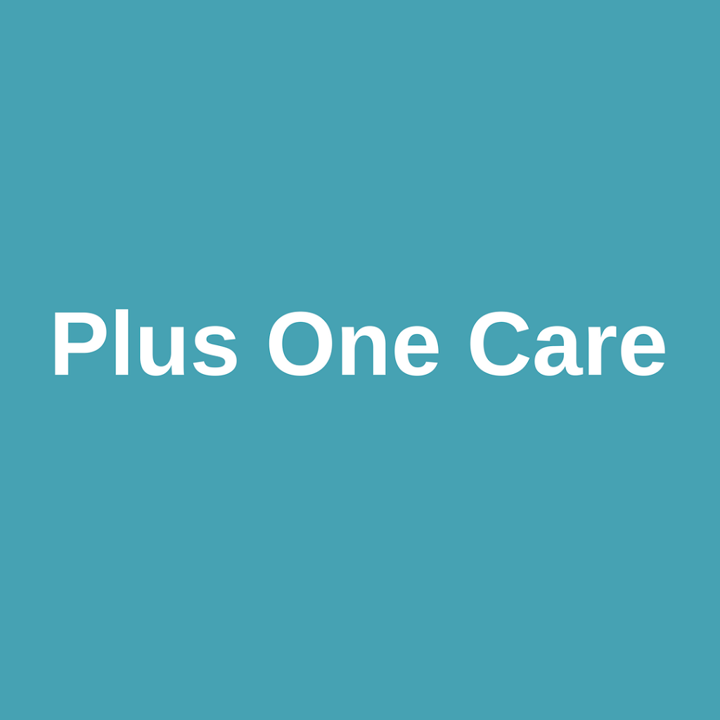 Plus One Care | store | 56 Gemvale Rd, Reedy Creek QLD 4227, Australia | 0755220802 OR +61 7 5522 0802