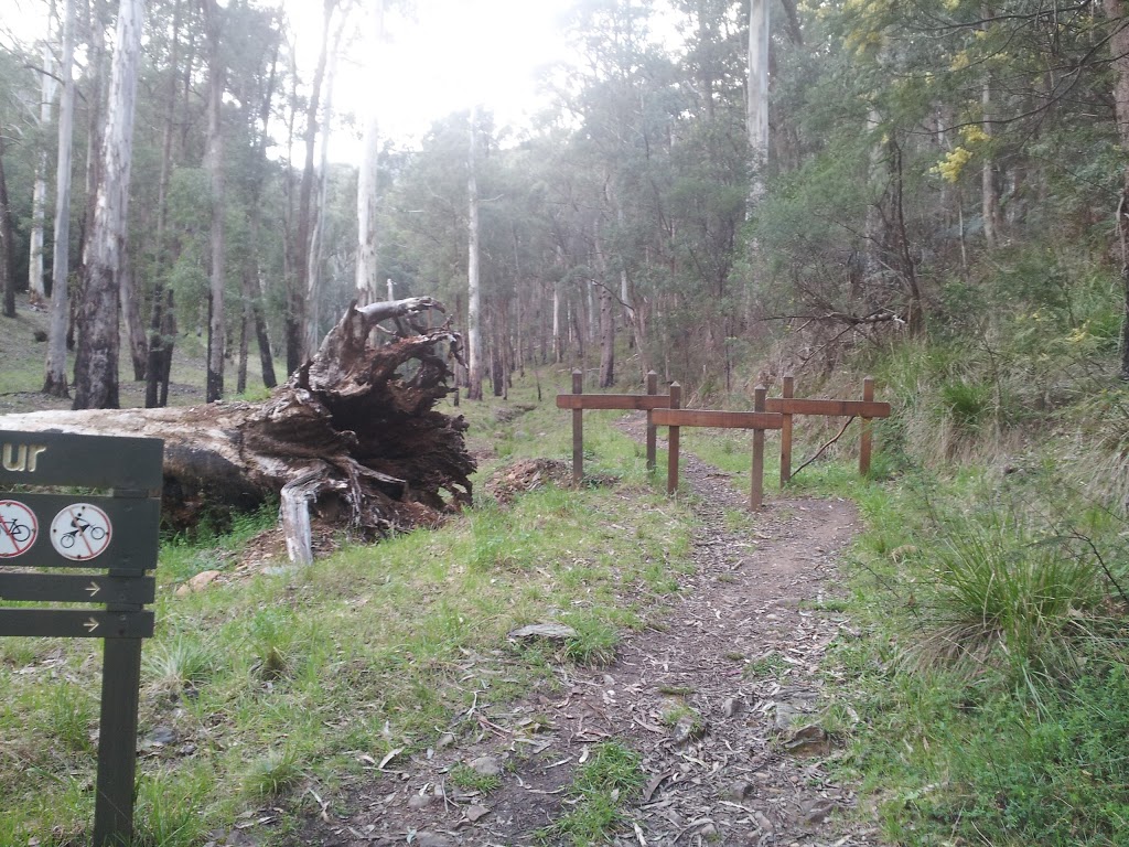 Bungalow Spur Hiking Trailhead | park | 104 Feathertop Track, Harrietville VIC 3741, Australia