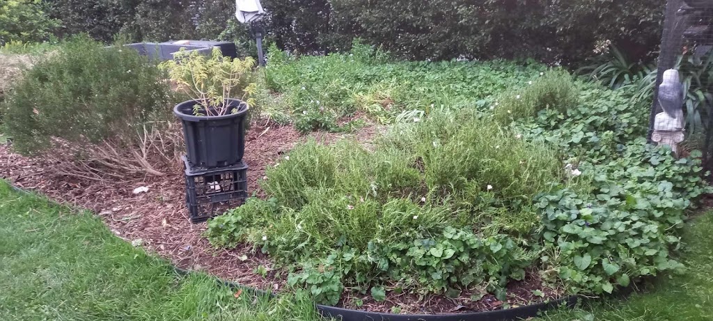 Panjab Lawn Care | 22a Biara St, Bargo NSW 2574, Australia | Phone: 0403 798 905