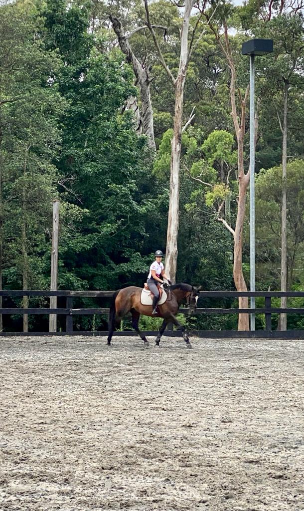 Terrey Hills Equestrian |  | 88 Eurabba Rd, Duffys Forest NSW 2084, Australia | 0488210548 OR +61 488 210 548