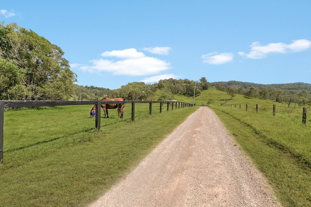 David Carter Professionals Crown Property & Livestock | 56 Barton St, Scone NSW 2337, Australia | Phone: 0438 453 172