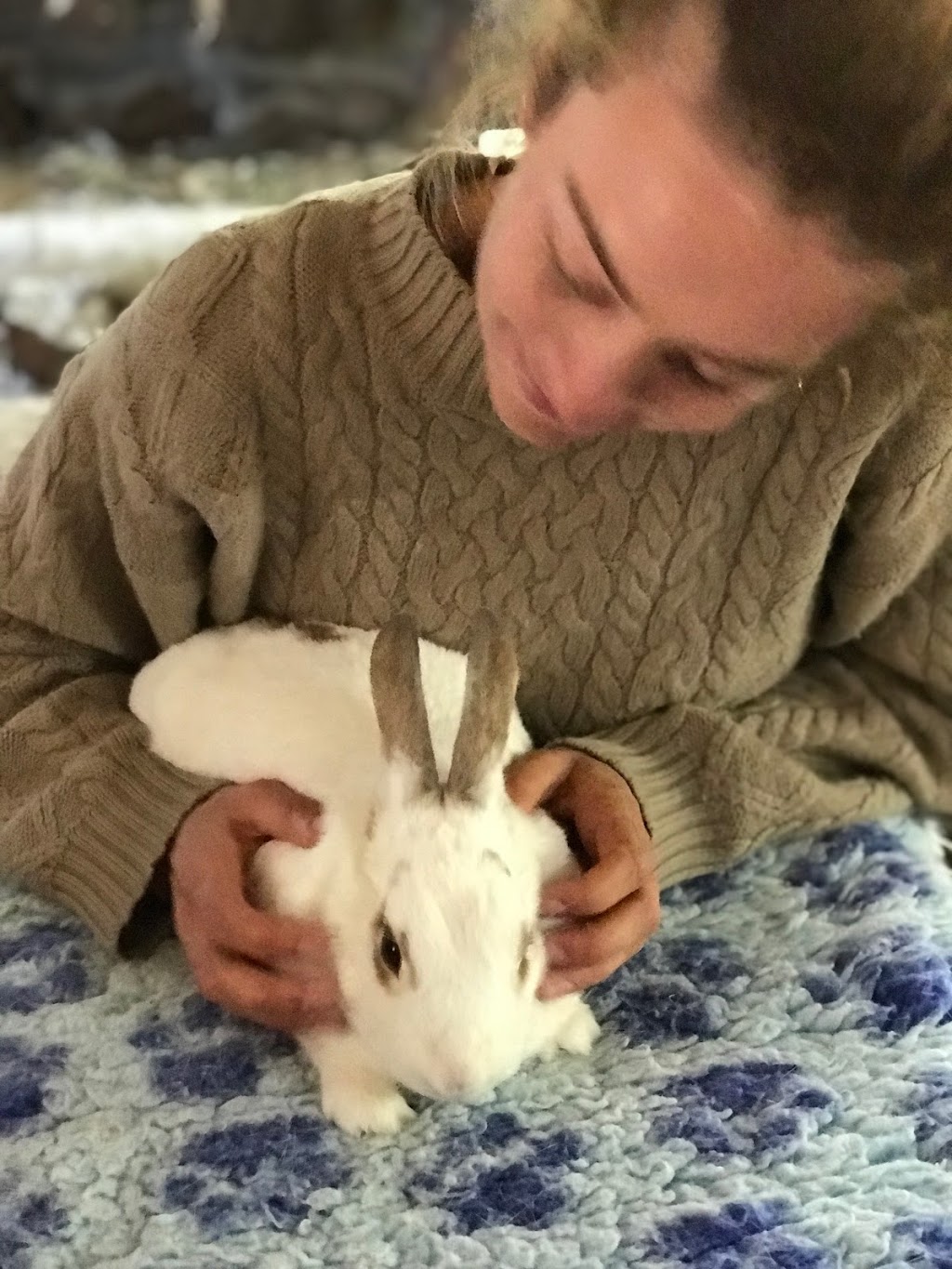 Rabbit Rescue Sanctuary & Rabbit Adoption Centre | veterinary care | 59 Tintenbar Rd, Rushforth NSW 2460, Australia | 0416062947 OR +61 416 062 947