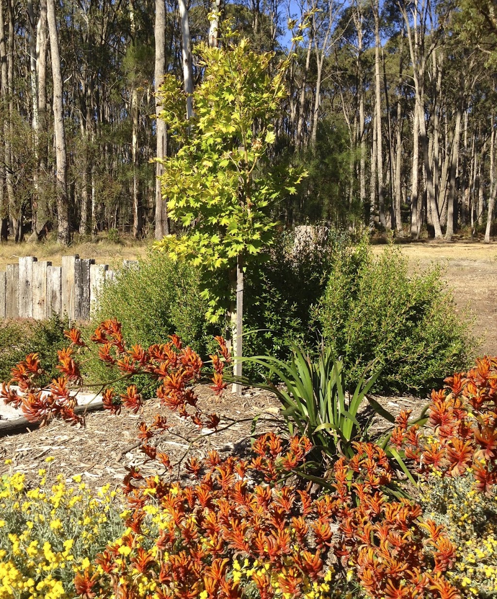 Sue Meli Landscape Designs | general contractor | Howey St, Gisborne VIC 3437, Australia | 0408540489 OR +61 408 540 489