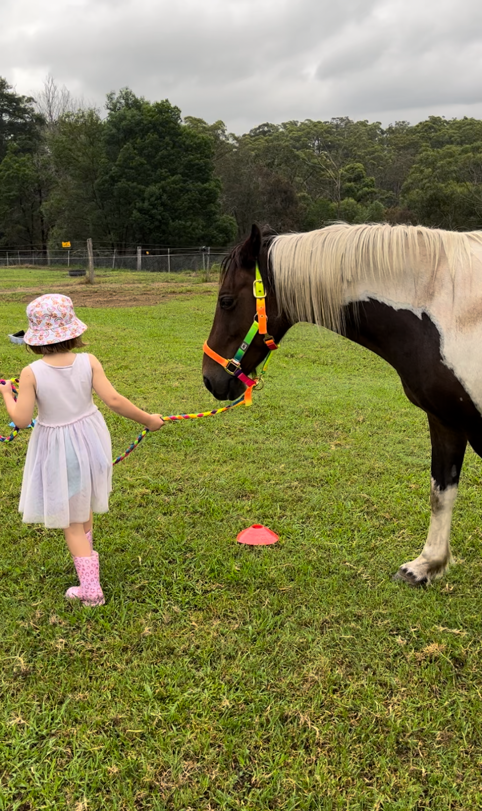 Hooves For Hope | 74 Mcmahons Rd, Kurrajong NSW 2758, Australia | Phone: 0447 772 717 Hooves For Hope | 74 Mcmahons Rd, Kurrajong NSW 2758, Australia | Phone: 0447 772 717