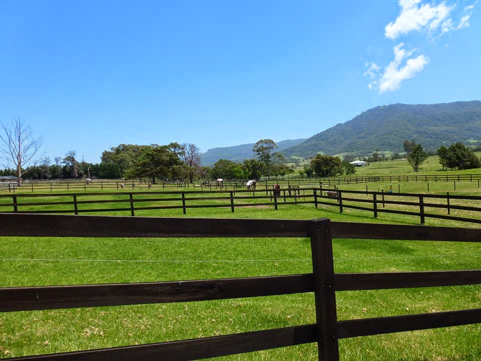 TARGA Equestrian | travel agency | 50A Emerald Dr, Meroo Meadow NSW 2540, Australia | 0402117142 OR +61 402 117 142