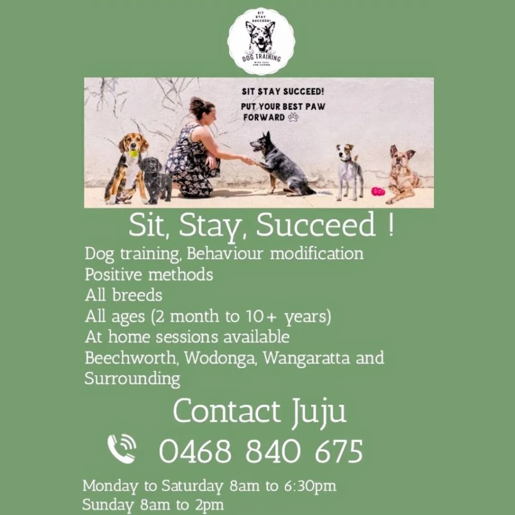 Sit, Stay, Succeed ! Dog training | Surrounding, Beechworth VIC 3747, Australia | Phone: 0468 840 675