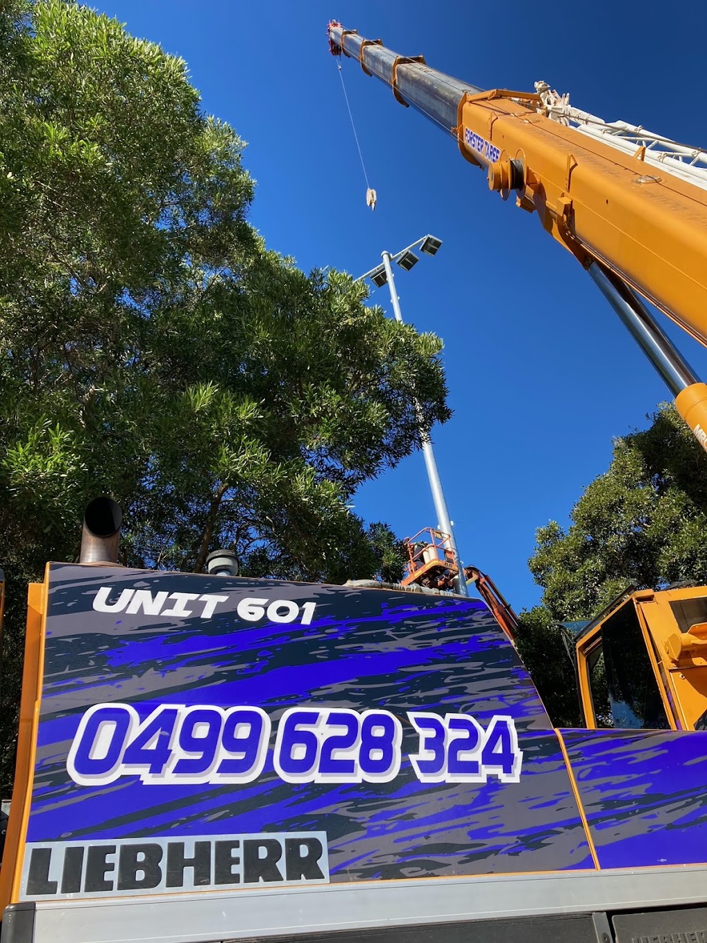 Forster Taree Cranes |  | 2 Norfolk Cl, Tuncurry NSW 2428, Australia | 0499628324 OR +61 499 628 324