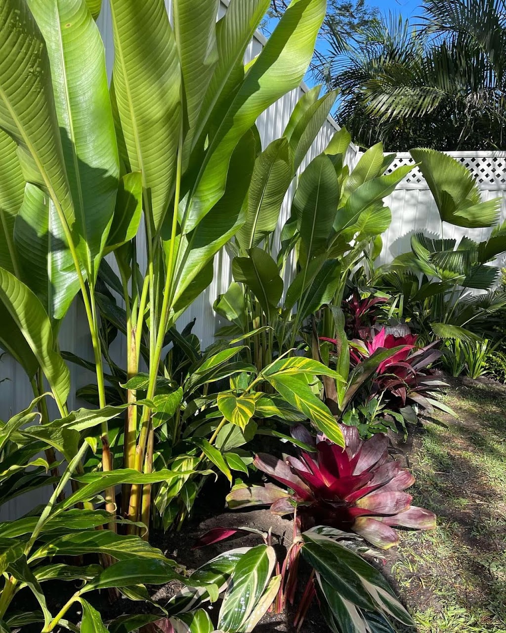 Local Botanist | 10 Haslewood Ct, Mermaid Waters QLD 4218, Australia | Phone: 0422 597 822