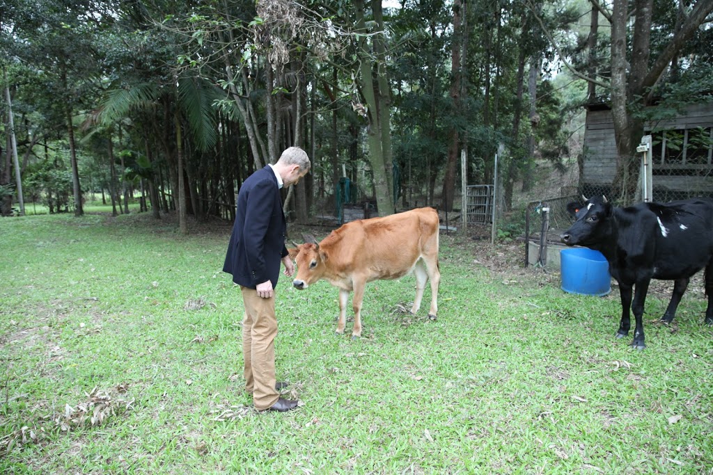 Owen Kessels Therapy Services - The Creek Escape | 58 Hayes Ave, Camira QLD 4300, Australia | Phone: 0423 737 018