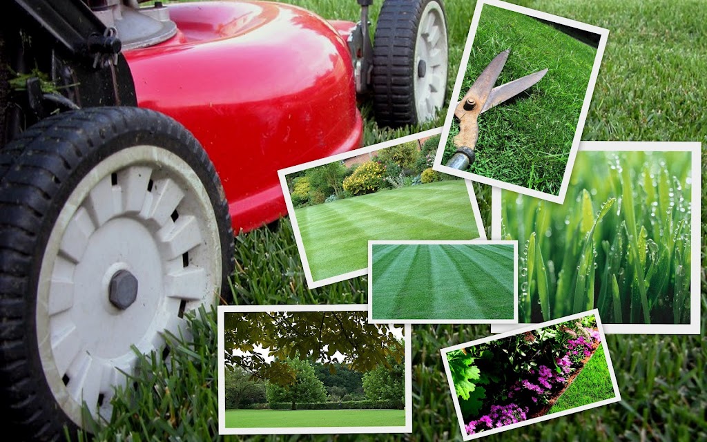 Advanced Mowing | 150 Scobie Cres, Bellambi NSW 2518, Australia | Phone: 0458 366 944