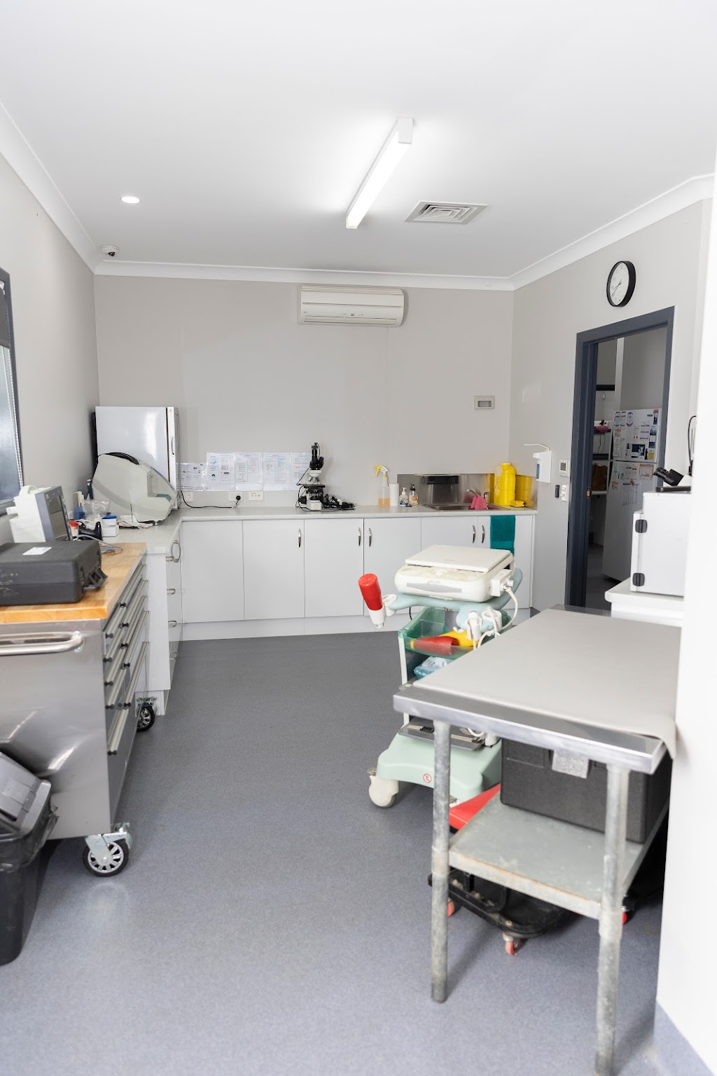 Marburg Veterinary Clinic | 159 Edmond St, Marburg QLD 4346, Australia | Phone: (07) 5307 9888