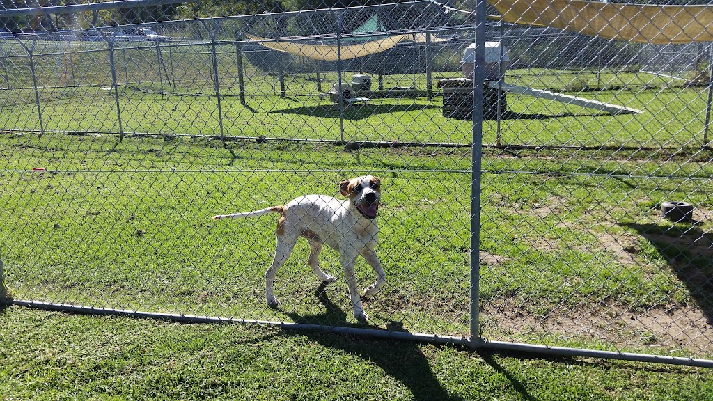 RSPCA NSW Behaviour and Rehabilitation Centre (Central Coast) | 455 Reeves St, Somersby NSW 2250, Australia | Phone: (02) 4372 2044