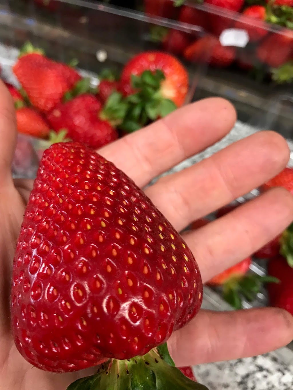Portland Strawberries | food | 87 Princes Hwy, Bolwarra VIC 3305, Australia | 0355231834 OR +61 3 5523 1834