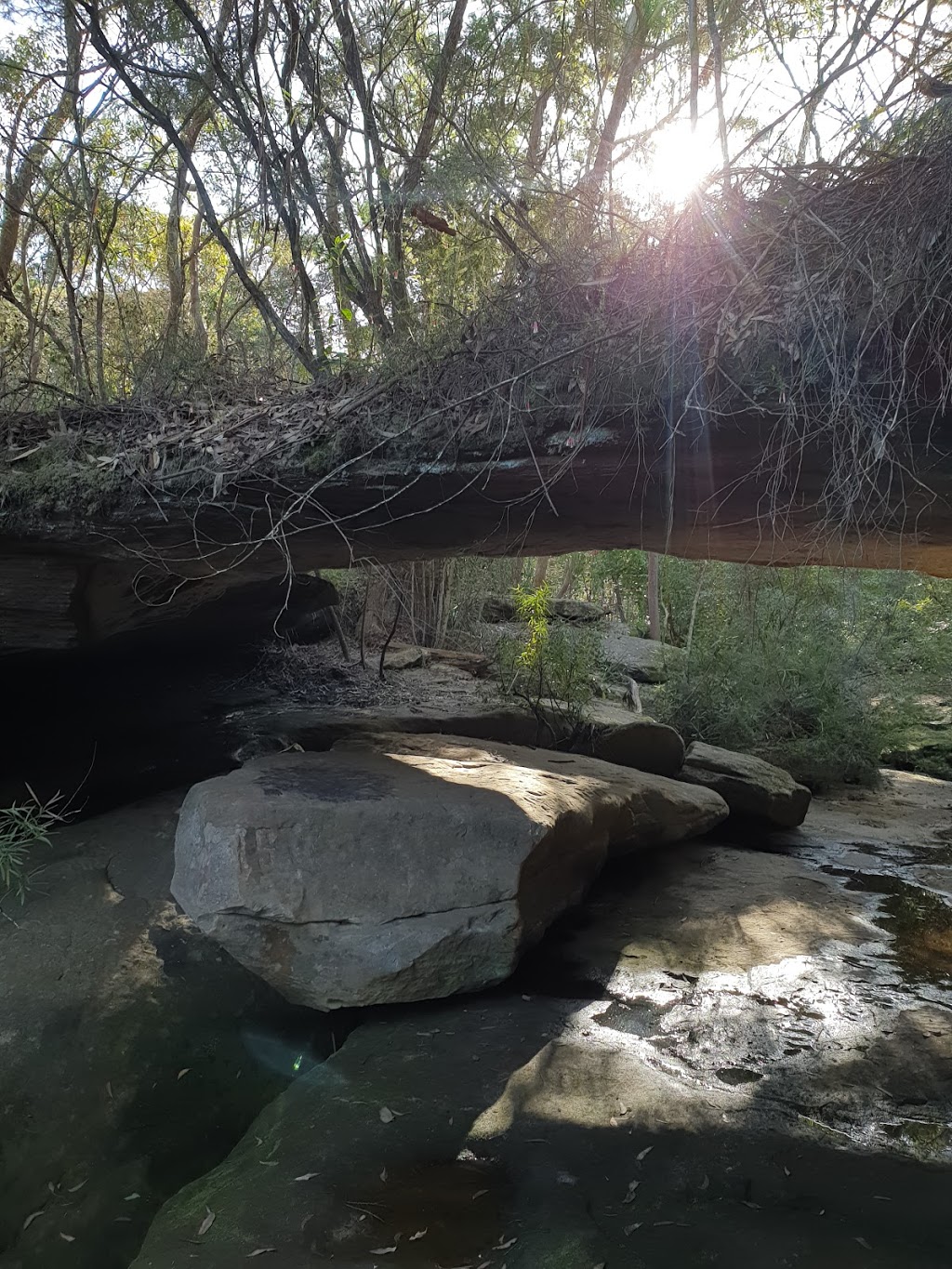 Natural bridge | park | Natural Arch Track, Killarney Heights NSW 2087, Australia