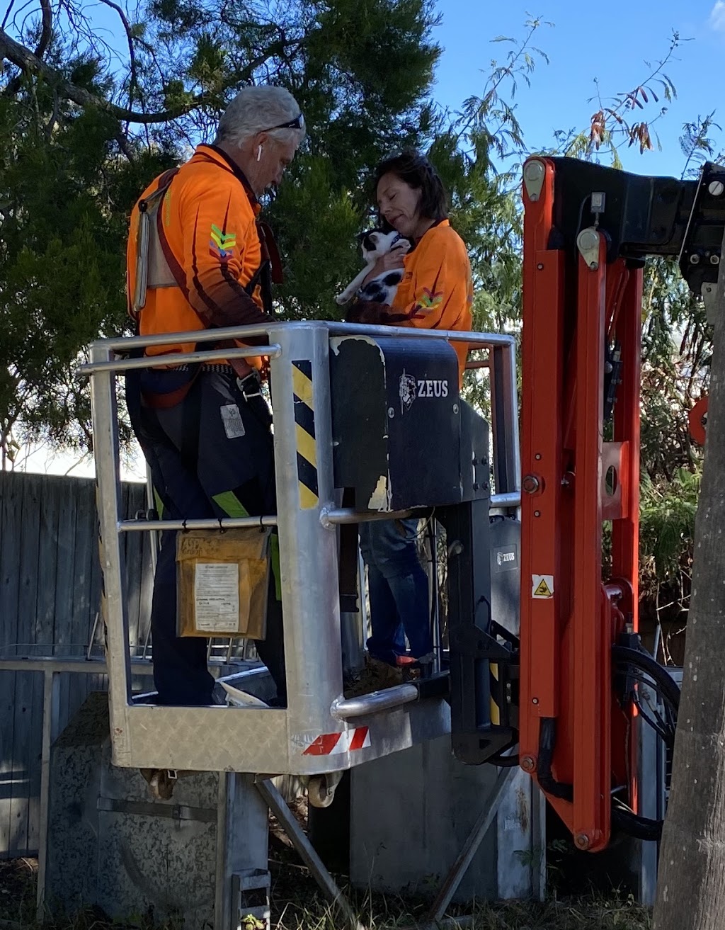 Colourful Tree Lopping & Stump Grinding | 44A Oyster Point Esplanade, Scarborough QLD 4020, Australia | Phone: 0418 988 966