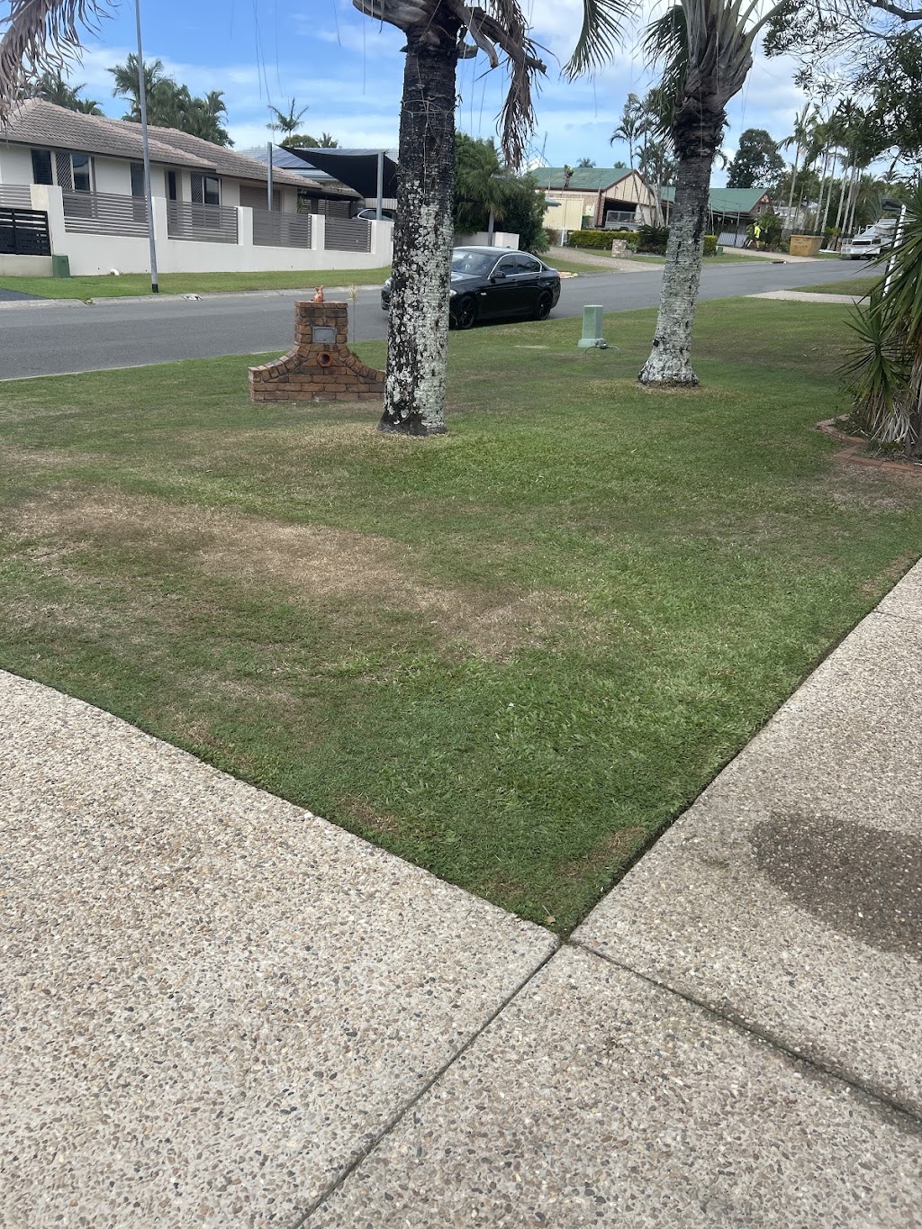 Golden Cane lawns | 9 Rosella St, Wellington Point QLD 4160, Australia | Phone: 0415 190 092