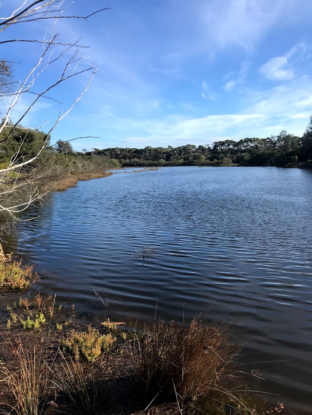 Foreshore Reserve | Balnarring Beach VIC 3926, Australia | Phone: (03) 5983 5582